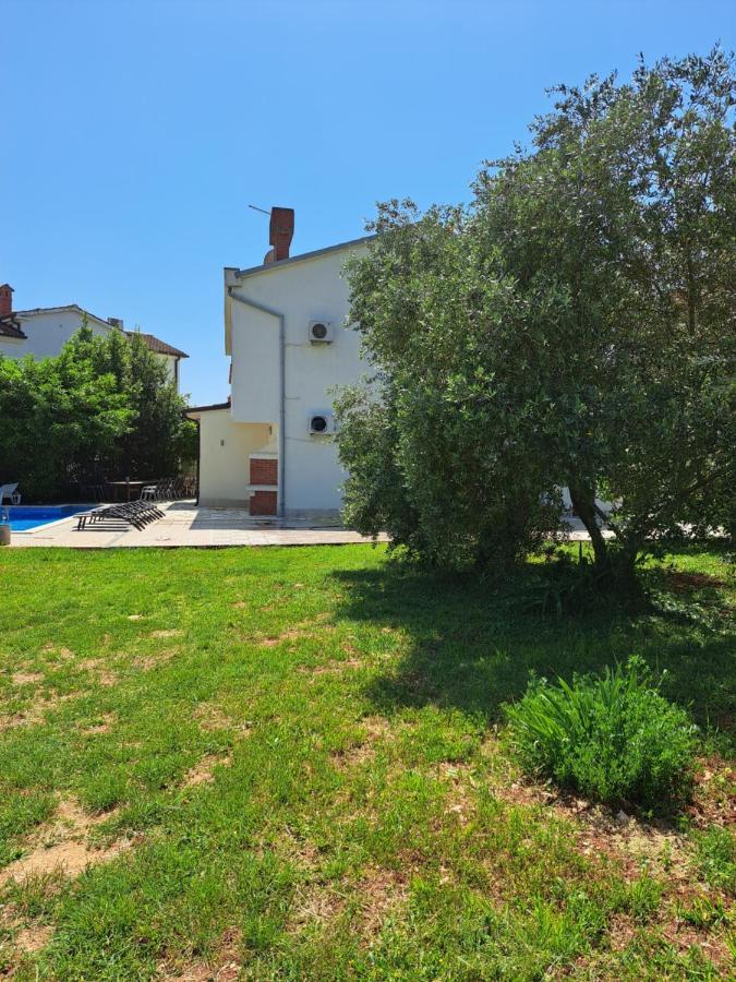 Villa Eucaliptus Istrien Ровин Екстериор снимка